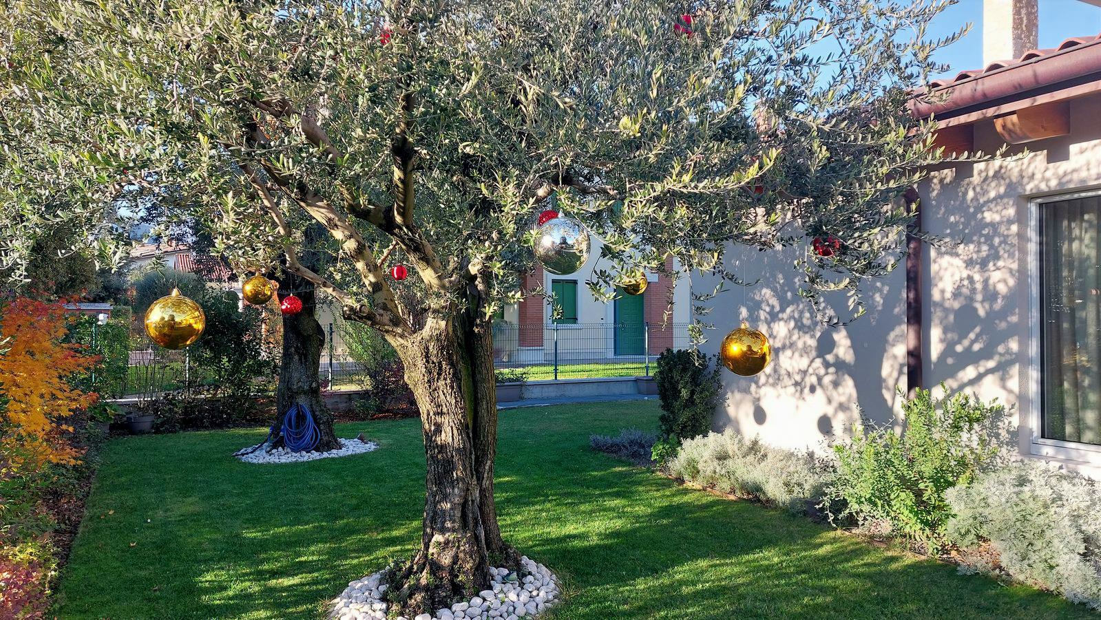 dettaglio cantiere